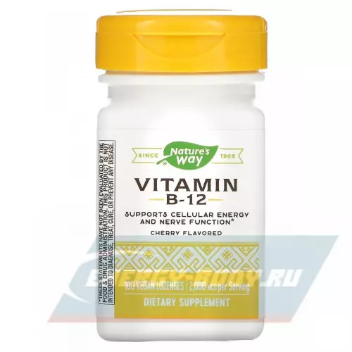  Nature-s Way Vitamin B12 2000 mcg Вишня, 100 веганских леденцов