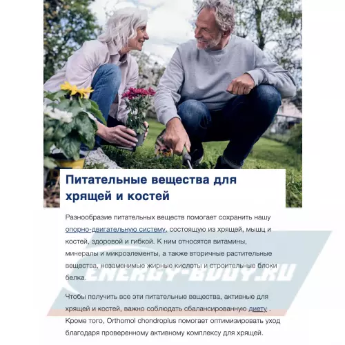 Суставы, связки Orthomol ArthroPlus (порошок+капсулы) Нейтральный, курс 30 дней