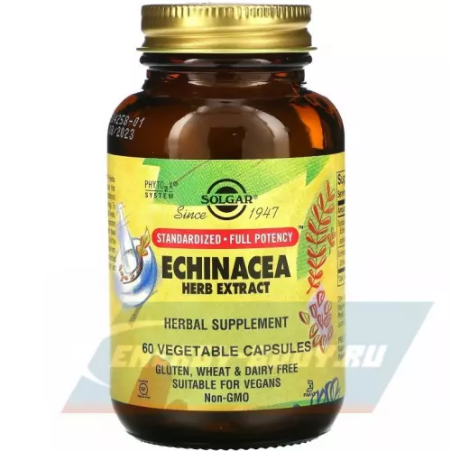  Solgar SFP Echinacea Herb Extract 60 вегетарианских капсул