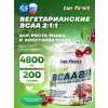 BCAA 2:1:1 Vegan powder