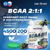 BCAA Classic Powder 2:1:1