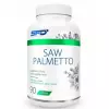 SAW Palmetto