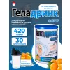 ФОРТЕ (Geladrink Forte) + Шейкер