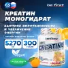 Creatine Micronized Powder (креатин моногидрат)