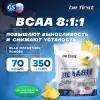 BCAA Instantized powder