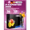 L-Carnitine 3000