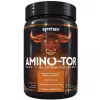 Amino-TOR BCAA + Glutamine Bland