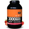 MUSCLE MASS 3000