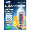 L-Carnitine 3900 mg