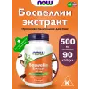 Boswellia Extract 500 mg