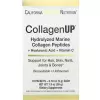 CollagenUP Marine Sourced Peptides + Hyaluronic Acid + Vitamin C