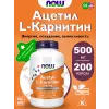 Acetyl L-Carnitine 500 mg (Ацетил-L-Карнитин)