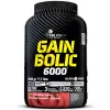 GAIN BOLIC 6000