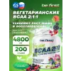 BCAA 2:1:1 Vegan powder