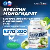 Creatine Micronized Powder (креатин моногидрат)