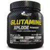 GLUTAMINE XPLODE POWDER