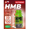 HMB 4500