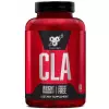 CLA DNA