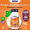 Alpha Lipoic Acid 250 mg – Альфа-липоевая кислота