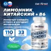 Schisandra Chinensis powder (экстракт китайского лимонника)