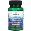 Ultra L-Theanine 100mg