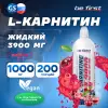 L-Carnitine 3900 mg