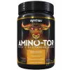 Amino-TOR BCAA + Glutamine Bland