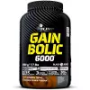 GAIN BOLIC 6000