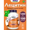 Sunflower Lecithin