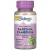 Garcinia Cambogia Fruit Ext 500mg