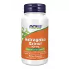 Astragalus 70% EXT 500 mg