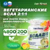 BCAA 2:1:1 Vegan powder