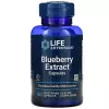 Blueberry Extract Capsules