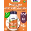 Olive leaf extract 500 mg
