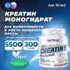 Creatine Micronized Powder (креатин моногидрат)