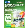 BCAA 2:1:1 Vegan powder