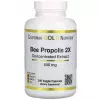 Bee Propolis 2X Concentrated Extract 500 mg