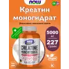 Creatine Monohydrate Powder