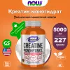 Creatine Monohydrate Powder