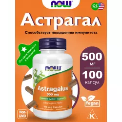 NOW FOODS Astragalus 500 mg Экстракты