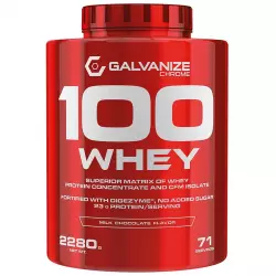 Galvanize 100 Whey Сывороточный протеин