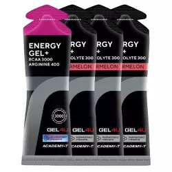 GEL4U Energy Gel+electrolyte 300 Гели энергетические