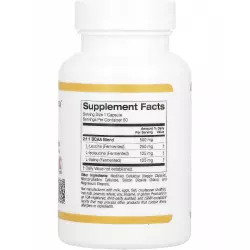 California Gold Nutrition BCAA 500 mg AjiPure ВСАА