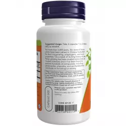 NOW FOODS Panax Ginseng 500 mg Экстракты