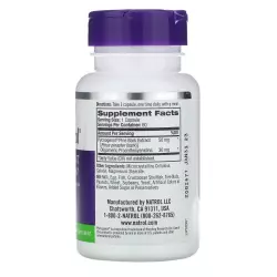 Natrol Pycnogenol 50mg противовоспалительное Антиоксиданты, Q10