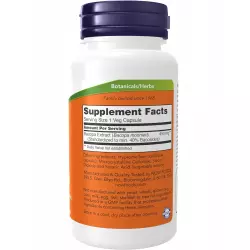 NOW FOODS Bacopa Extract 450 mg Экстракты