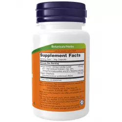 NOW FOODS Ginkgo Biloba 120 mg ЗАГРУЗКА