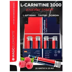 Magic Elements L-Carnitine Liquid Energy Storm 20x25 м L-Карнитин