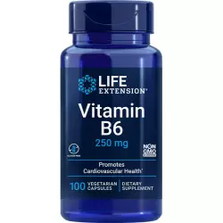 Life Extension Vitamin B6 250 mg Витамины группы B