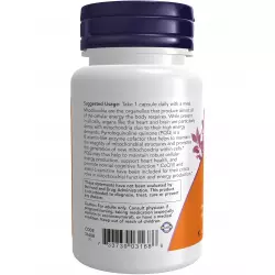 NOW FOODS PQQ Energy 20 mg Антиоксиданты, Q10